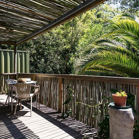 Camps Bay Forest Pods Fokváros Kültér fotó
