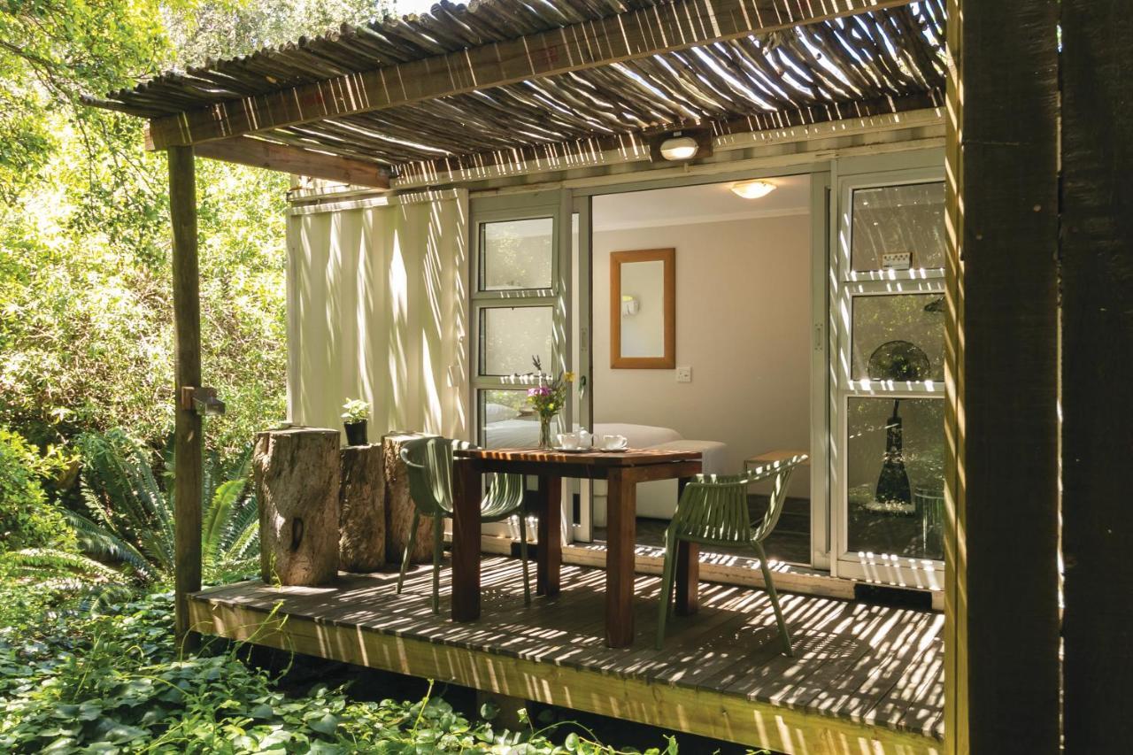 Camps Bay Forest Pods Fokváros Kültér fotó