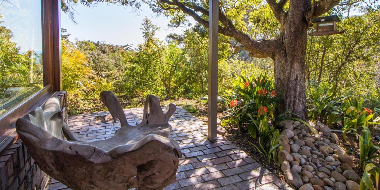 Camps Bay Forest Pods Fokváros Kültér fotó